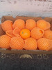 17.6度精品橙5公斤左右毛重 商品缩略图2