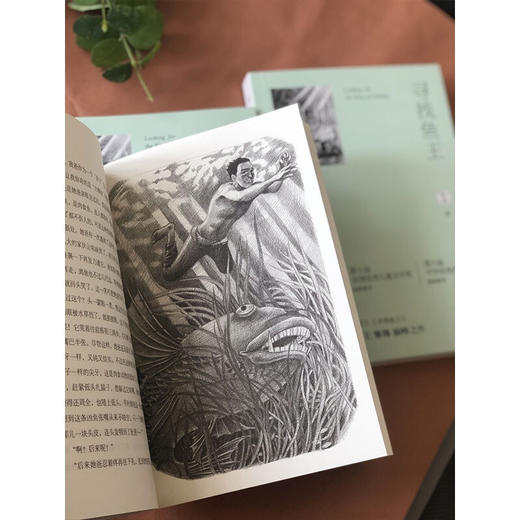 3-6年级  寻找鱼王 商品图4