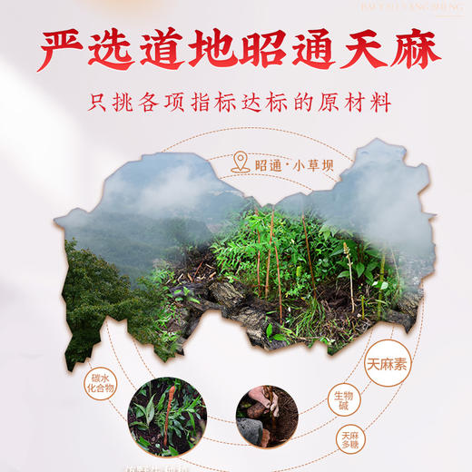 【官方正品】云南白药七花天麻超细粉昭通天麻打细粉道地中药材GMP制药规范加工 商品图1