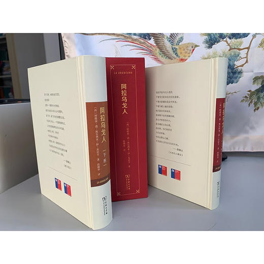 阿拉乌戈人(全两册) [西]阿隆索·德·埃尔西亚·伊·苏尼卡 著 段继承 译 商务印书馆 商品图4