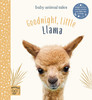 晚安小羊驼 儿童小动物绘本故事书 英文原版 Goodnight  Little Llama Magic Cat绘本 商品缩略图0