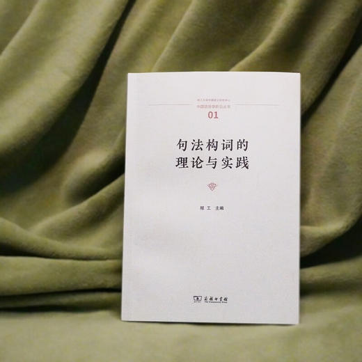 句法构词的理论与实践（中国语言学前沿丛书） 程工 主编 商务印书馆 商品图2