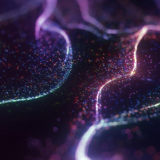 TimeWaver量子时光波解读 商品图0