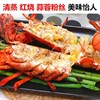 1kg～1.5kg左右／只波士顿龙虾干冰波龙【2E3下-14】 商品缩略图2