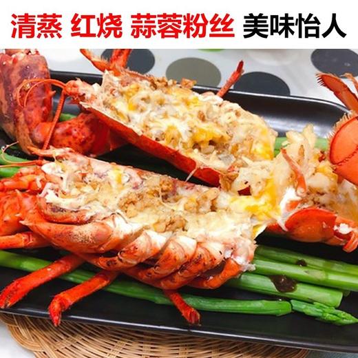 1kg～1.5kg左右／只波士顿龙虾干冰波龙【2E3下-14】 商品图2