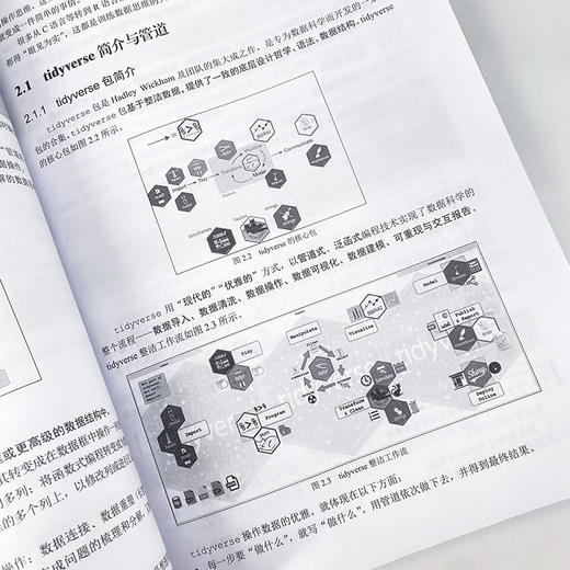 R语言编程：基于tidyverse R语言编程数据分析入门零基础自学小白 数据爬虫机器学习ggplot代码语言案例 商品图3