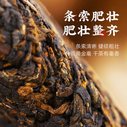 【纪念款】茶马世家藏月年份老茶357g 商品图2