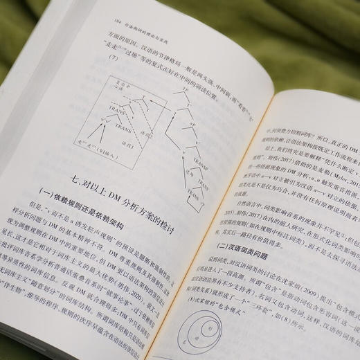 句法构词的理论与实践（中国语言学前沿丛书） 程工 主编 商务印书馆 商品图7