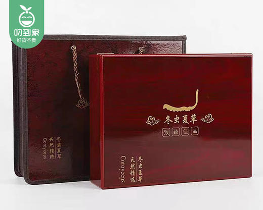 西藏那曲冬虫夏草礼盒（干货）/1盒（20只，共3.5g-3.8g）补单专用 商品图4