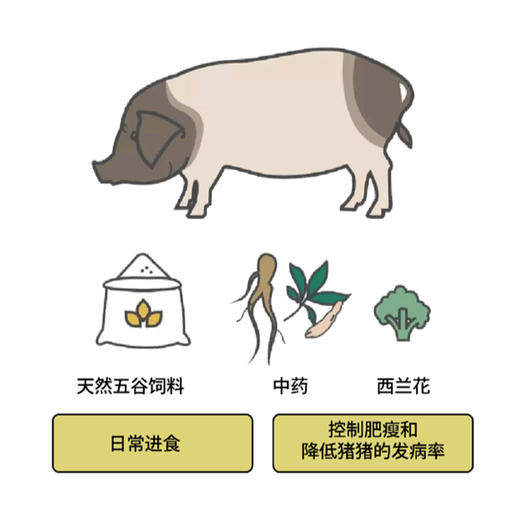 两头乌单品 香肠/肋排/五花肉/腿肉/猪蹄/肉馅... 清水煮也不膻 商品图9