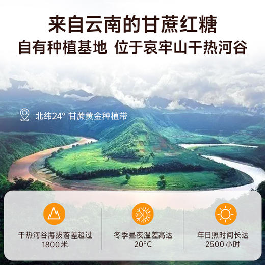 【低升糖红参红糖姜茶】 7颗 商品图1