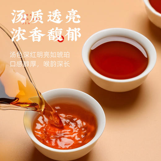 【纪念款】茶马世家藏月年份老茶357g 商品图3