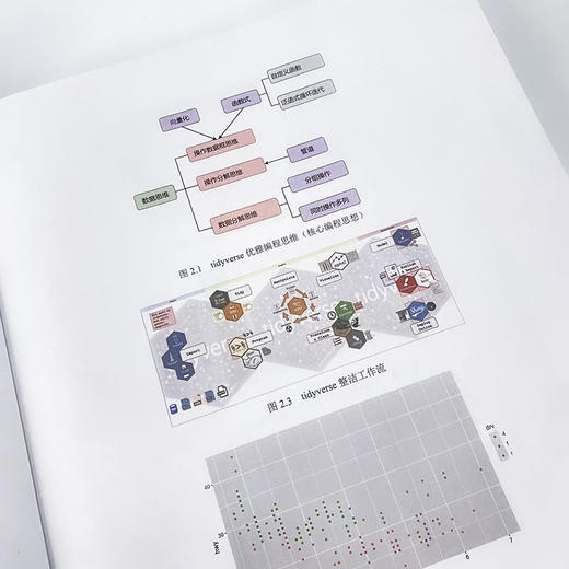 R语言编程：基于tidyverse R语言编程数据分析入门零基础自学小白 数据爬虫机器学习ggplot代码语言案例 商品图2