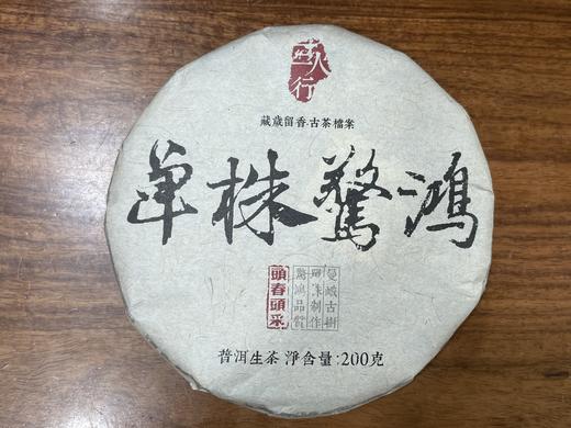2022春 单株惊鸿  单株采摘 单株制作  老曼娥甜茶 200克/饼 商品图0