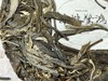 2022春 单株惊鸿  单株采摘 单株制作  老曼娥甜茶 200克/饼 商品缩略图7