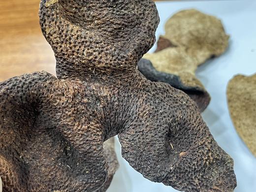 2001年，新会陈皮（二十三年陈）新会东甲  老皮 陈皮 商品图3