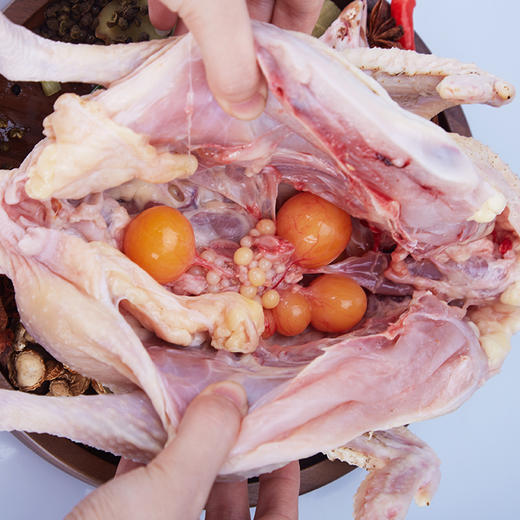 老母鸡+童子鸡各1只  味纯至臻 煲汤优选  商品图2