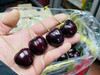 智利Kordia科迪亚黑车🍒—新鲜，硬、脆、甜、浓郁 商品缩略图9