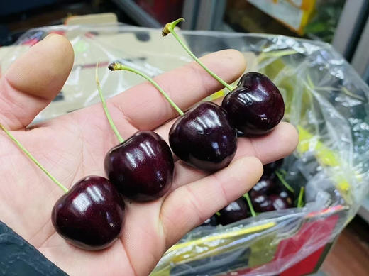 智利Kordia科迪亚黑车🍒—新鲜，硬、脆、甜、浓郁 商品图9