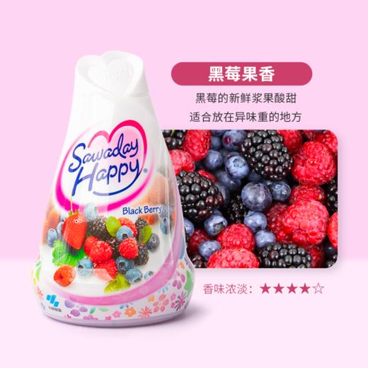 日本  小林制药 心形清新剂 固体芳香剂 多款可选 商品图5
