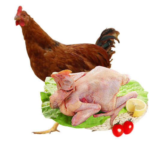 老母鸡+童子鸡各1只  味纯至臻 煲汤优选  商品图6