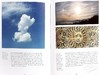 【中商原版】A Cloud A Day 进口艺术 一天一朵云 商品缩略图8