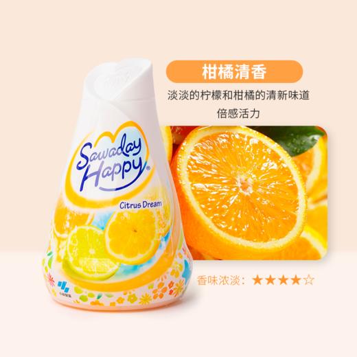 日本  小林制药 心形清新剂 固体芳香剂 多款可选 商品图8