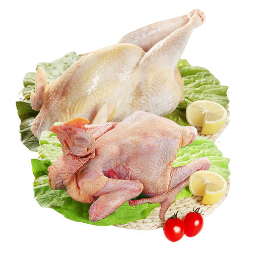 老母鸡+童子鸡各1只  味纯至臻 煲汤优选  商品图0