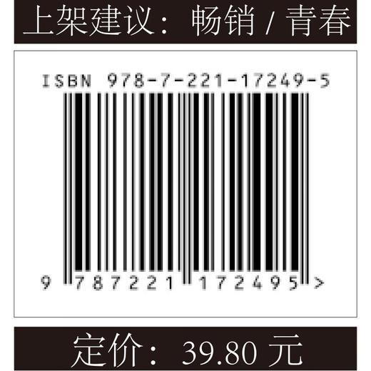 夏日纸鸢 商品图4