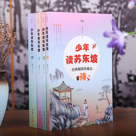 《少年读苏东坡》插图珍藏本全4册丨传记+诗+词+文，专门写给孩子的苏东坡集 商品图0