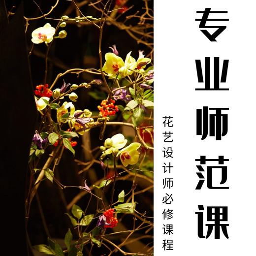 专业师范课程 商品图0