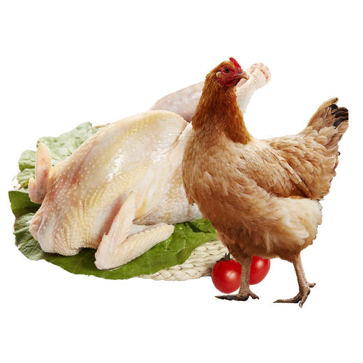 老母鸡+童子鸡各1只  味纯至臻 煲汤优选  商品图5