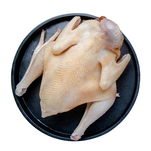 老母鸡+童子鸡各1只  味纯至臻 煲汤优选  商品图4