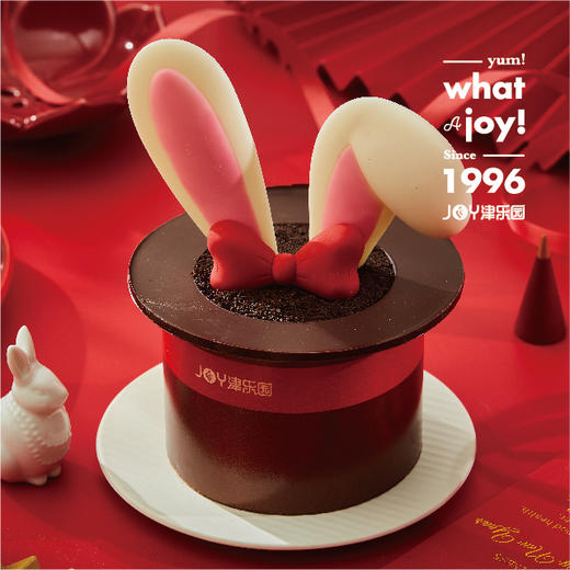 Nice 兔 meet you 商品图0