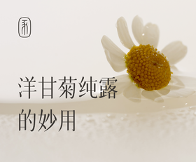 你不知道的纯露用法