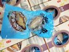 冻干鲍鱼（拼团） 商品缩略图2