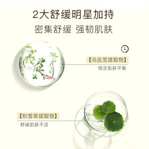 安科丽官方 多肽润安生物纤维特护面膜33ml*5片  紧致肌肤 商品图4