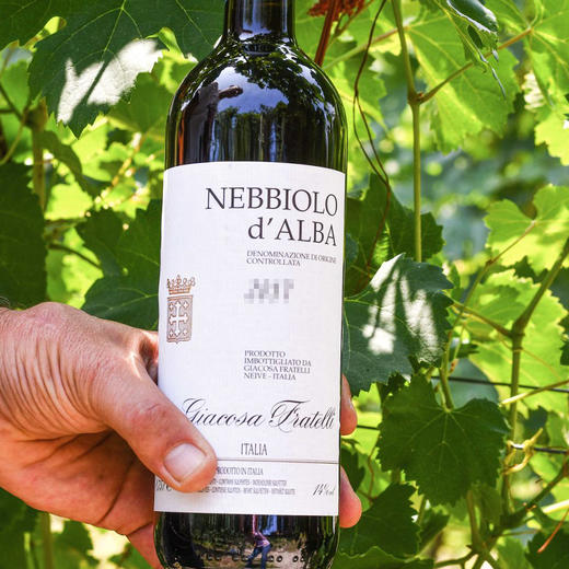 Giacosa Fratelli Nebbiolo d’Alba 贾科萨兄弟内比奥多阿尔巴干红葡萄酒 商品图0