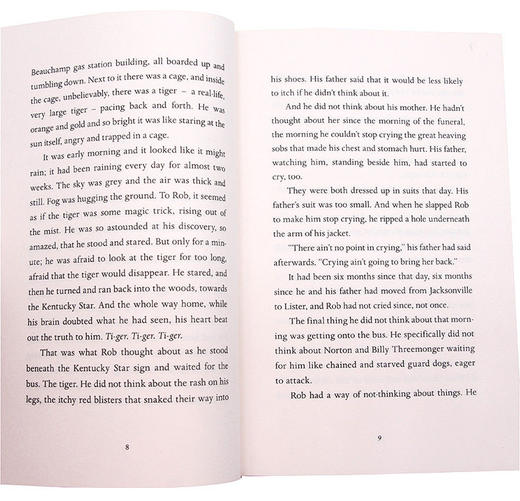 上升的老虎 高飞 英文原版小说 The Tiger Rising 凯特迪卡米洛 Kate DiCamillo 英文版 进口原版青少年英语课外阅读书籍 商品图2