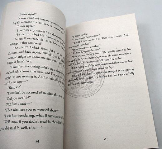 Collins 门廊上的男孩 英文原版 The Boy on the Porch 英文版 儿童文学小说书 莎朗克里奇 印第安人的鹿皮靴作者新作 进口原版英语书籍 商品图2