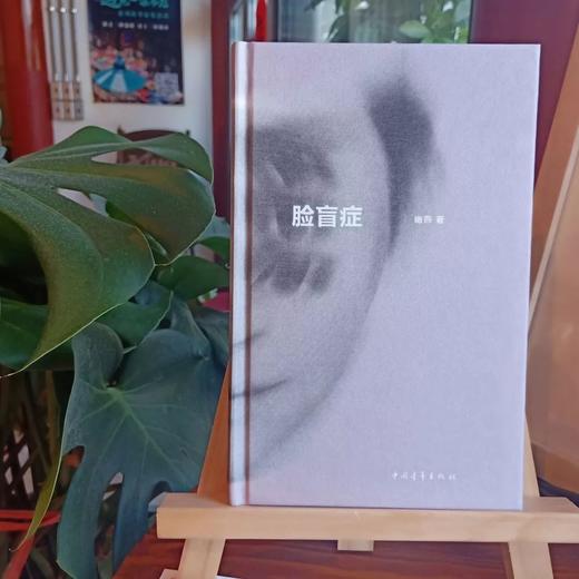 《脸盲症》幽燕著 商品图0