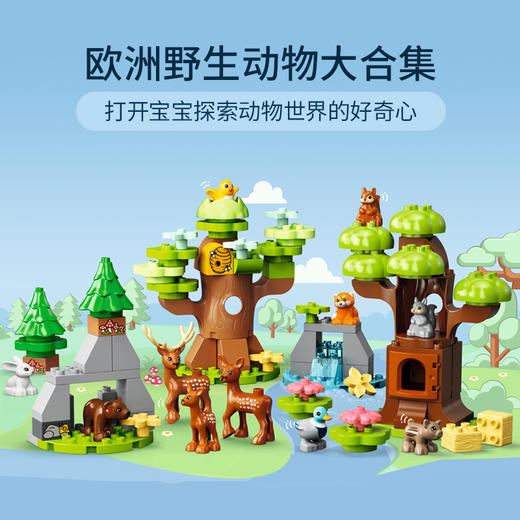 乐高L10979欧洲野生动物 商品图2
