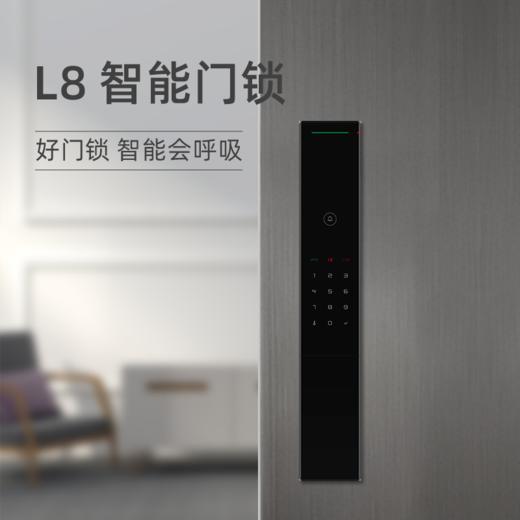 鼎山科技（DINSTECH） L8 全自动智能门锁家用 大门密码锁 入户门办公室电子锁 防盗门指纹锁6色可选 商品图3