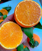 红美人果冻橙大礼盒4.2公斤左右 商品缩略图4