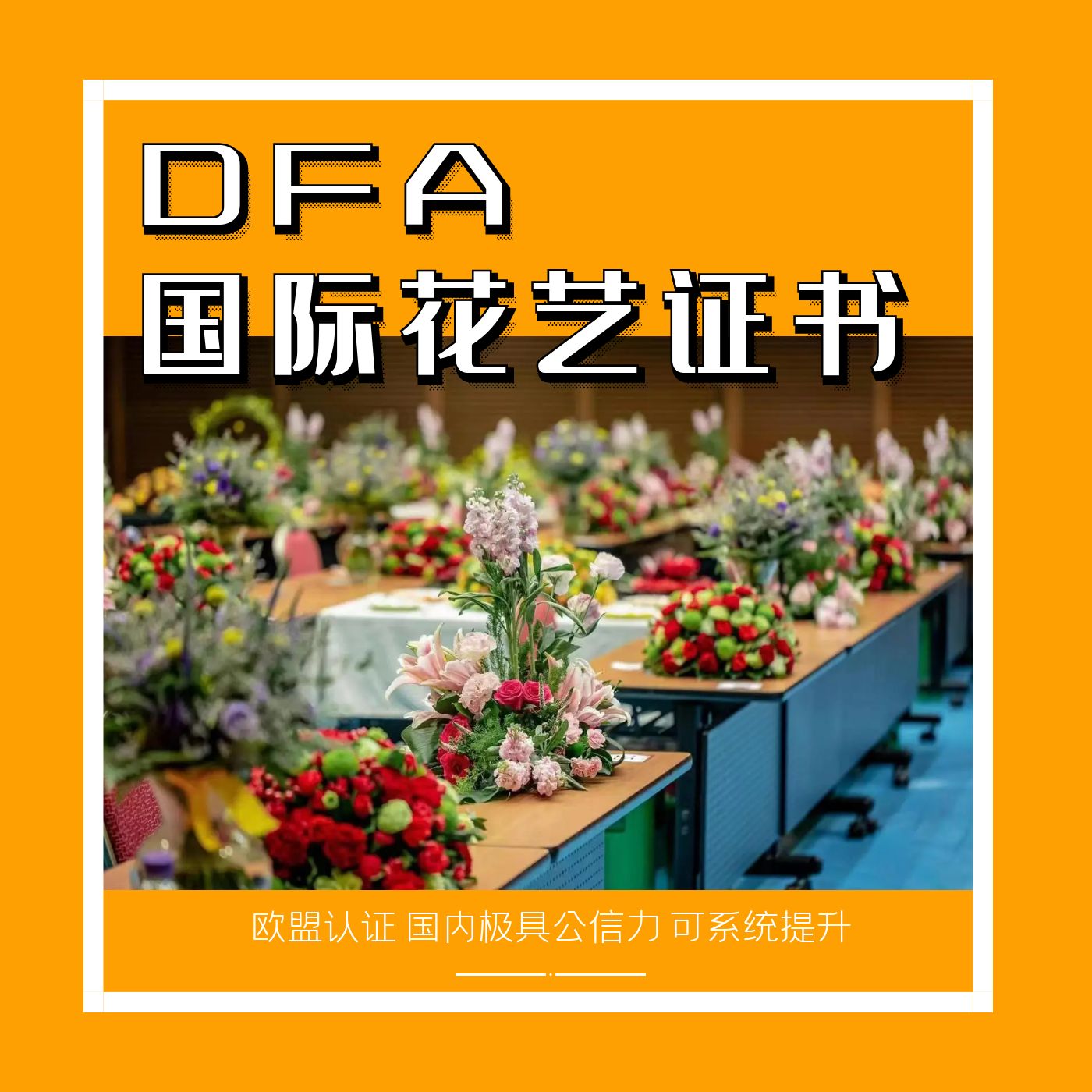 DFA荷兰花艺专业教程