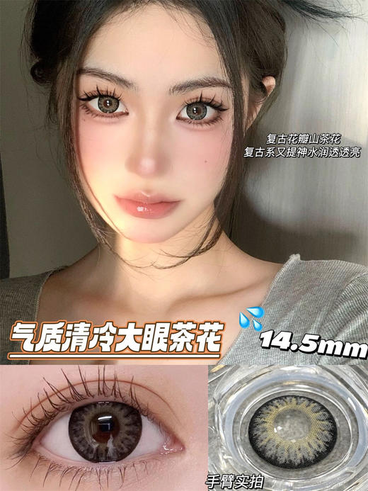 LEENSCOLOR+山茶花灰（年抛） 商品图0