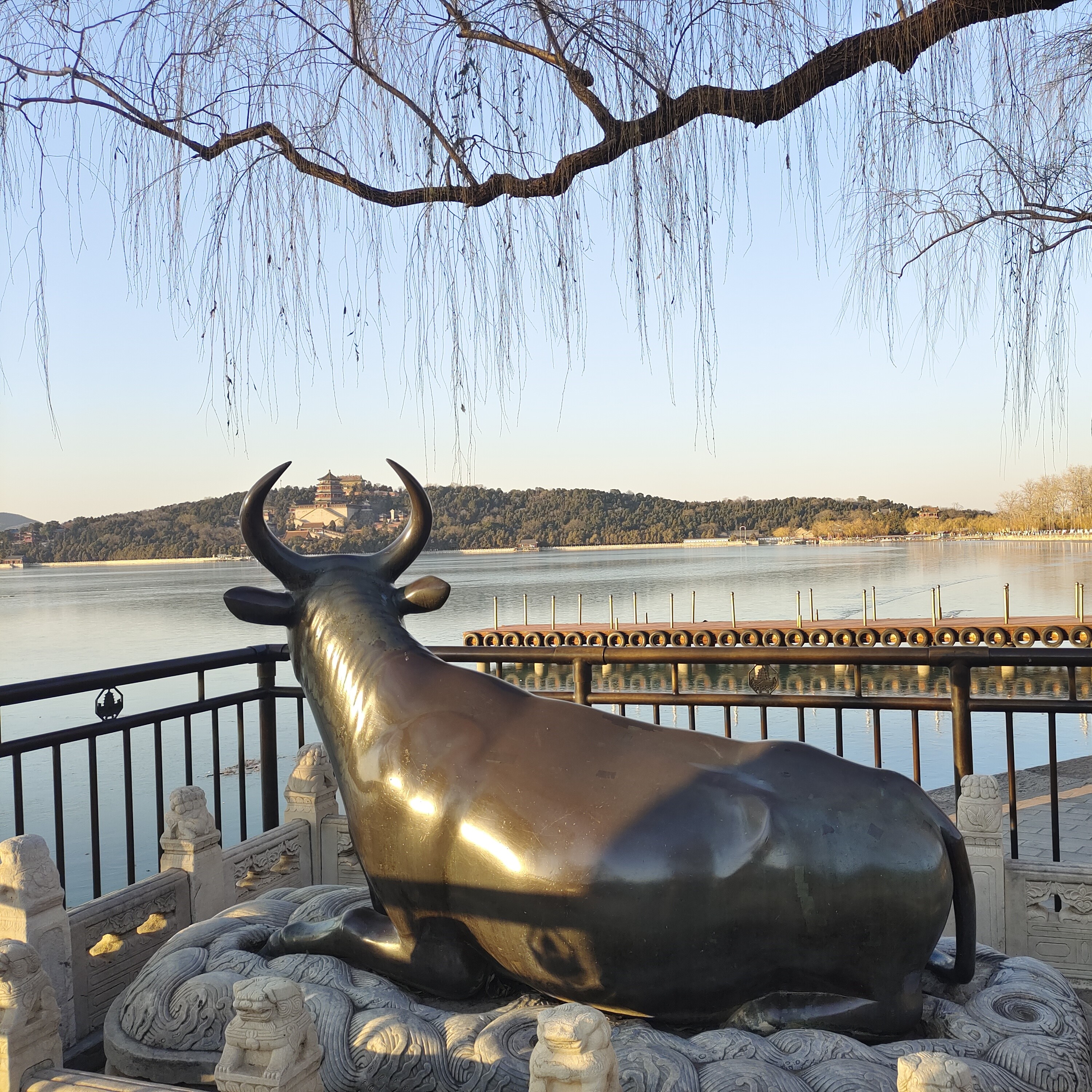 11.1上午，11.9下午，11.23上午爱上北京【我在颐和园等你】