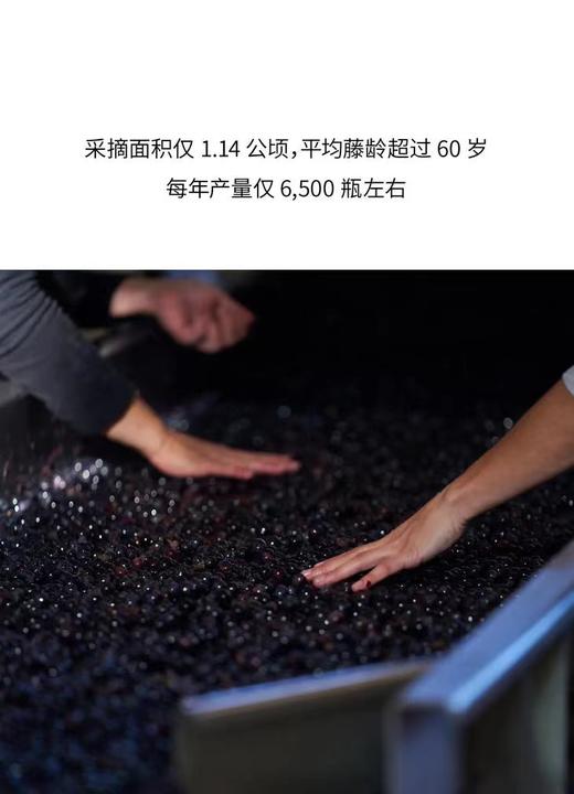 海辛-玛兹酒庄热夫雷香贝丹老藤红葡萄酒 2020 Domaine Heresztyn-Mazzini Gevrey-Chambertin Vieilles Vignes 商品图1