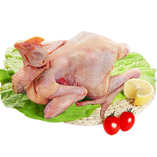 老母鸡+童子鸡各1只  味纯至臻 煲汤优选  商品图3