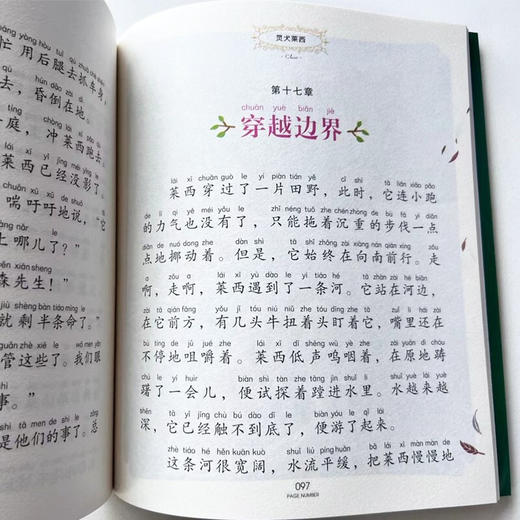 国际大奖儿童文学美绘注音版灵犬莱西 商品图4